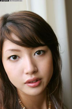 趴在废弃工厂等流浪狗上